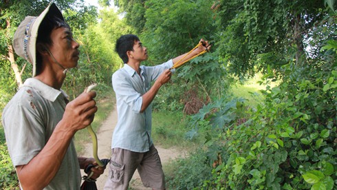 “Xạ thủ” săn rắn - ảnh 1