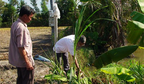 Bơm nước bằng mô tơ, một phụ nữ bị điện giật tử vong - ảnh 1