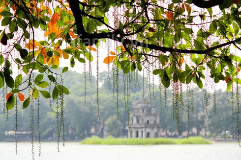 Dự báo thời tiết 10 ngày cuối tháng 1: Nền nhiệt cả nước ổn định, ít mưa - ảnh 1