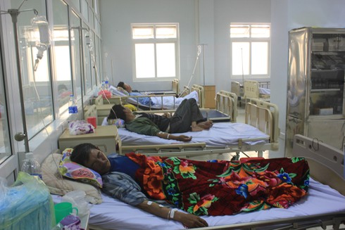 3 ngư dân nhập viện cấp cứu vì ăn cá nóc - ảnh 2