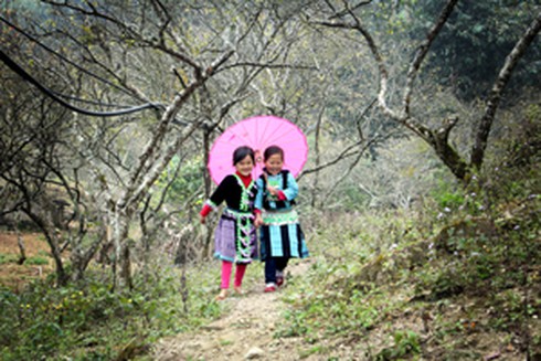 Vui như Tết ở bản Mông Hang Kia, Pà Cò - ảnh 1