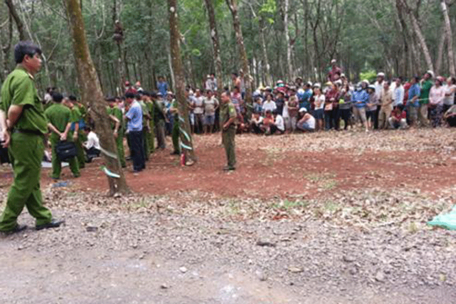 Phát hiện thi thể một phụ nữ giữa lô cao su trong giai đoạn phân hủy - ảnh 1