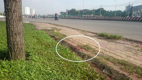 Bám theo người đi làm đồng để trộm cắp xe - ảnh 1