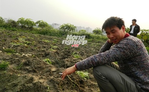 Gã trai nhiều ruộng nhất Vĩnh Phúc - ảnh 1