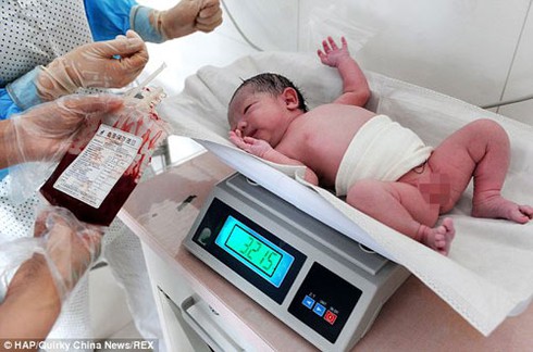 Cứu con sắp chết, mẹ cố đẻ thêm - ảnh 5