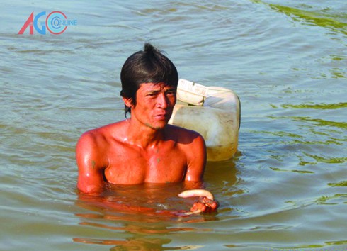 Cao thủ bắt lịch, lươn