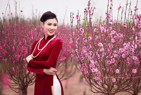 Sắc màu chợ hoa xuân Lào Cai - ảnh 10