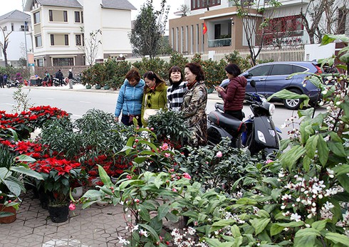 Sắc màu chợ hoa xuân Lào Cai - ảnh 2