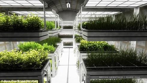 Bỏ vợ, bỏ con vì trúng tuyển lên… sao Hỏa sống - ảnh 4