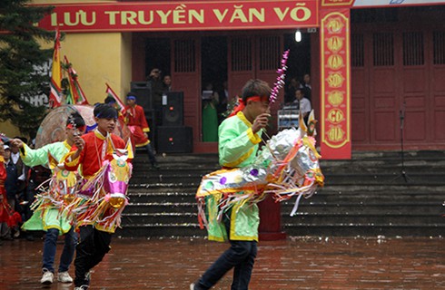 Tinh thần thượng võ qua Lễ tế ngựa đình Vồng - ảnh 2