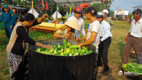 Hội An: Nấu 10.000 trái bắp nếp trong ngày hội “Bắp nếp Cẩm Nam” - ảnh 3