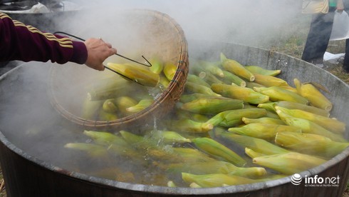 Hội An: Nấu 10.000 trái bắp nếp trong ngày hội “Bắp nếp Cẩm Nam” - ảnh 5