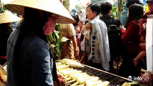 Hội An: Nấu 10.000 trái bắp nếp trong ngày hội “Bắp nếp Cẩm Nam” - ảnh 7