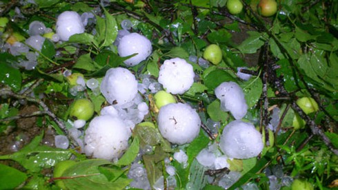 Bát Xát (Lào Cai) xuất hiện mưa đá - ảnh 1