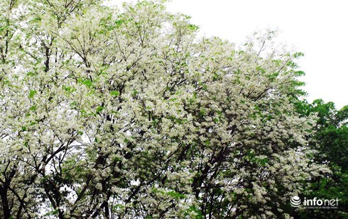 Dự báo thời tiết 10 ngày tới: Hà Nội từ mai 15/3 hết nồm, Nam bộ nắng nóng - ảnh 1