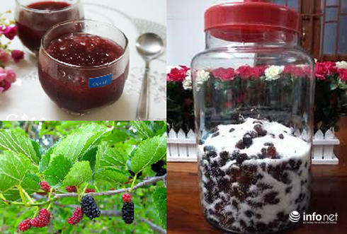 Cách làm siro dâu tằm đơn giản, nhanh chóng - ảnh 1