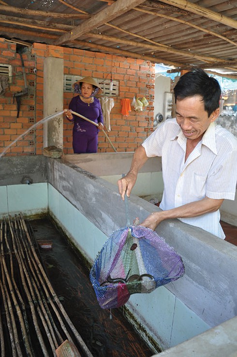 Nuôi lươn không bùn - ảnh 2