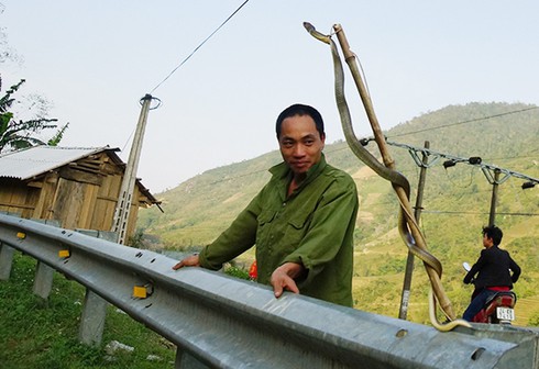 Sa Pa: Lại xuất hiện tình trạng bán rắn hoang dã công khai - ảnh 1