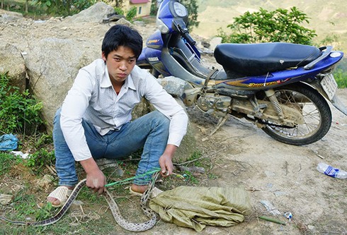 Sa Pa: Lại xuất hiện tình trạng bán rắn hoang dã công khai - ảnh 2