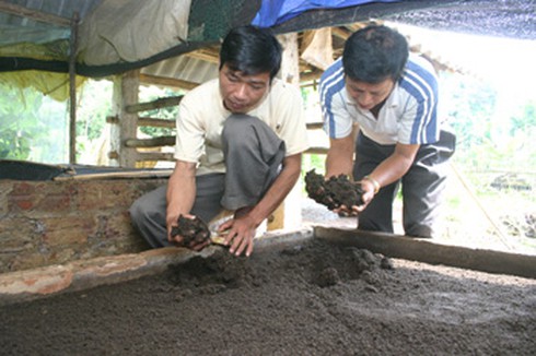 Nuôi giun tăng trưởng - Nông dân mua nợ - ảnh 2