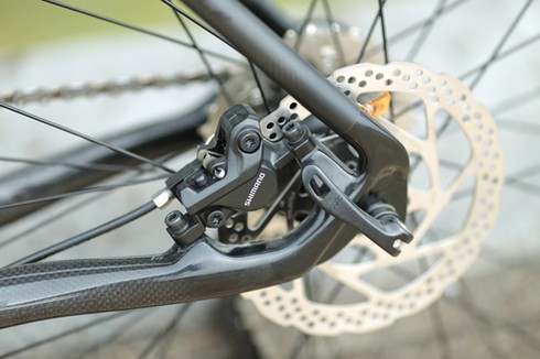 Xe đạp khung carbon giá 36 triệu đồng tại Việt Nam - ảnh 2