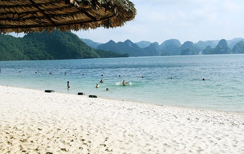 Đảo Soi Sim mùa hoa tím - ảnh 14