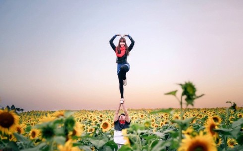 Mênh mông ‘hoa nắng’ xứ Nghệ - ảnh 7