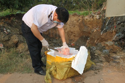 Bắc Giang: Làm rõ vụ cả tấn nầm lợn biến mất sau khi chôn lấp tiêu hủy - ảnh 1