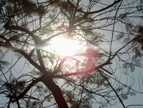 Tin nắng nóng mới nhất 8/5 và dự báo thời tiết hôm nay - ảnh 1