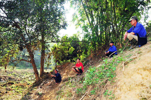 Treo “bom đất” trên nhà dân - ảnh 6