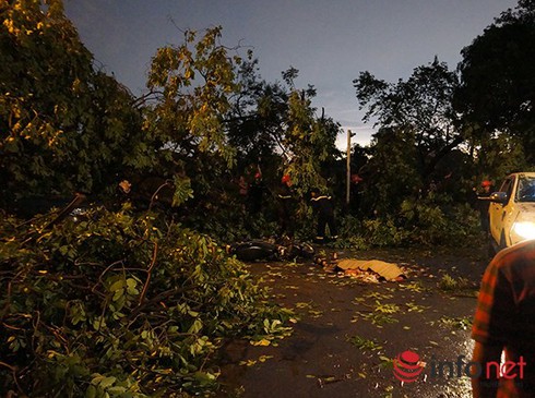 Dự báo thời tiết 15/6 và cảnh báo mưa dông, nắng nóng 10 ngày tới - ảnh 1