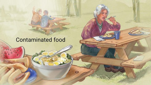 Bí quyết 'né' ngộ độc thực phẩm - ảnh 2