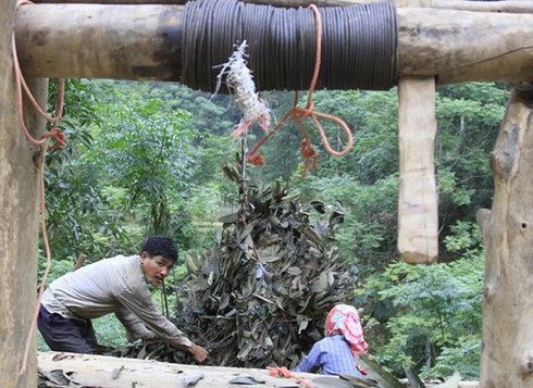 Dùng “cáp treo” vận chuyển nông - lâm sản - ảnh 5
