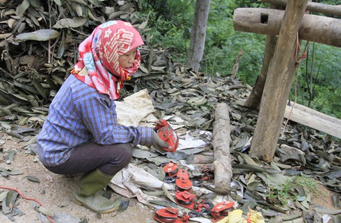Dùng “cáp treo” vận chuyển nông - lâm sản - ảnh 6