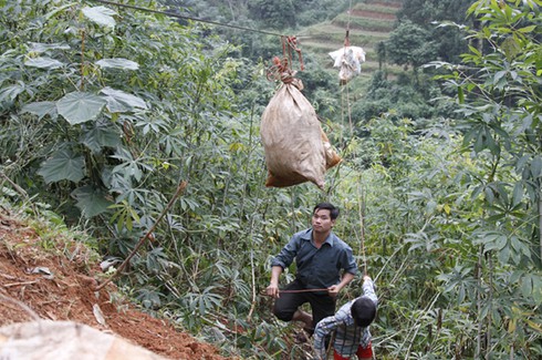 Dùng “cáp treo” vận chuyển nông - lâm sản - ảnh 15