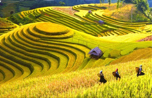 Những điểm ngắm mùa thu lãng mạn nhất xứ Bắc - ảnh 1