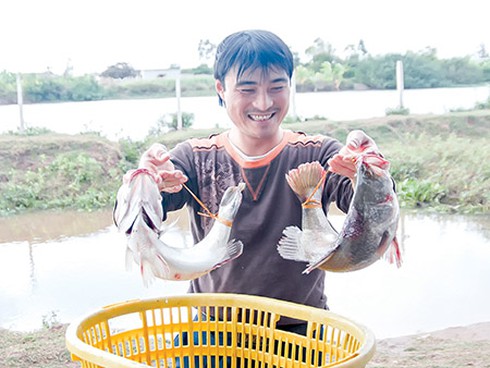 Không chỉ là tỷ phú cá vược - ảnh 1