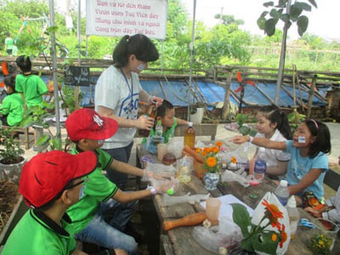 Thú vị… tour “tham quan vườn rau” - ảnh 1