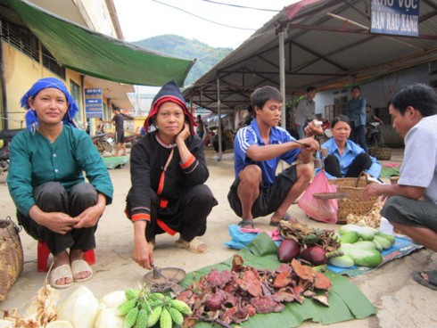 Nấm linh chi rừng tự nhiên Bảo Lạc - ảnh 1