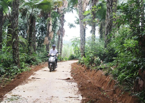 Chuyện làm đường “thần tốc” ở thôn Ngầu 1 - ảnh 1