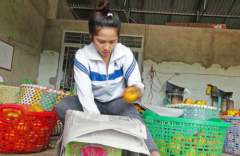 Minh oan cho trái hồng D'Ran - ảnh 1