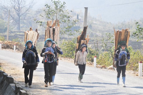 Những nữ “tiều phu” ở xứ sương mù - ảnh 1