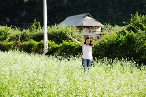 Địa điểm săn hoa cải trắng ở Mộc Châu - ảnh 1