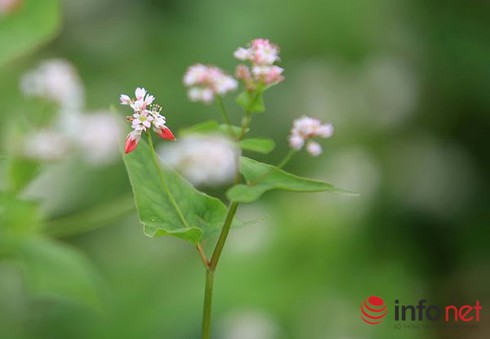 Tin nóng lạnh 28/11 và dự báo thời tiết cả nước 10 ngày tới - ảnh 1