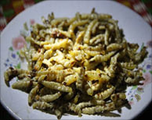 Sâu tre, món lạ vùng cao - ảnh 1