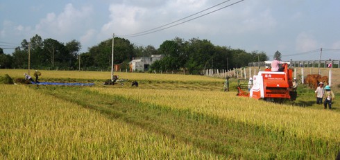 5 năm xây dựng nông thôn mới 2010-2015: Phát triển giáo dục, y tế, văn hóa - ảnh 1