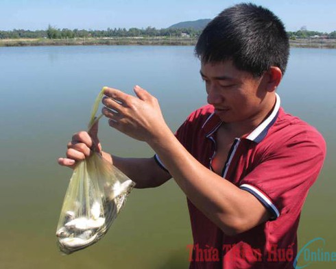 Cứu tinh của cá hiếm - ảnh 1