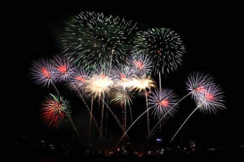 Các điểm bắn pháo hoa Giao thừa Tết Bính Thân 2016 ở An Giang - ảnh 1