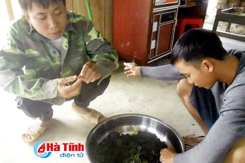 Hà Tĩnh: Cuốc đất trồng cỏ, phát hiện 15kg tiền cổ - ảnh 2