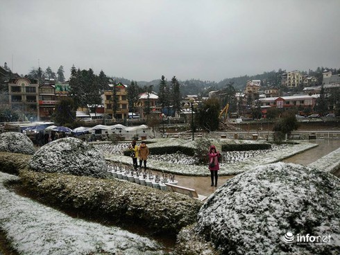 Tuyết đã rơi ngập tràn Sapa - ảnh 10